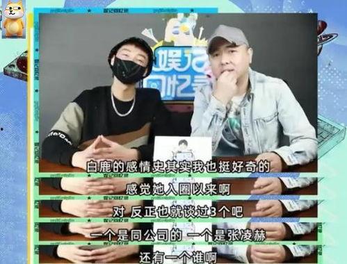 刘大锤最新爆料直播回放,最新爆料内容大汇总