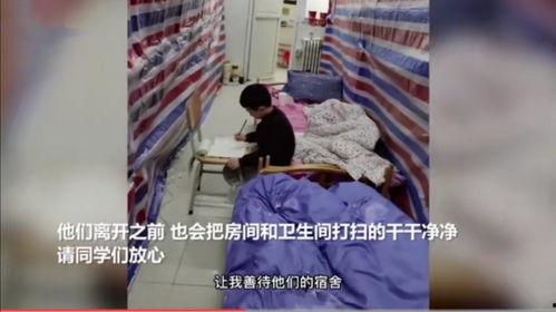 女生爆料董先生视频大全,揭秘背后惊人真相